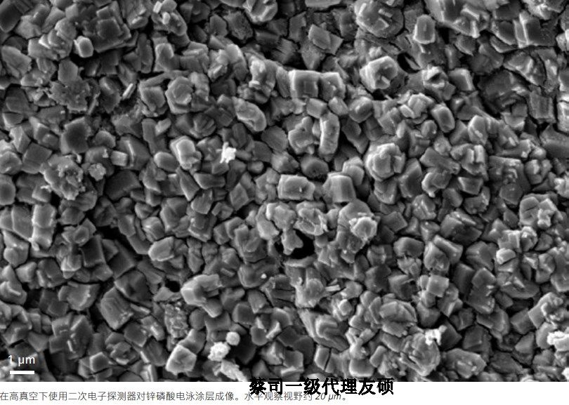 南川蔡司南川扫描电镜