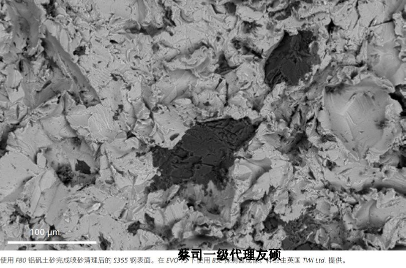 南川蔡司南川扫描电镜EVO