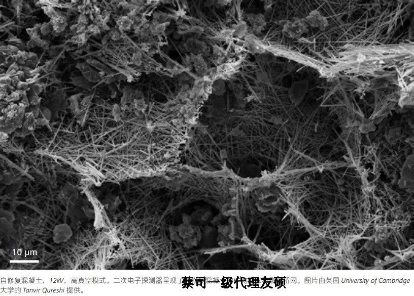 南川蔡司南川扫描电镜