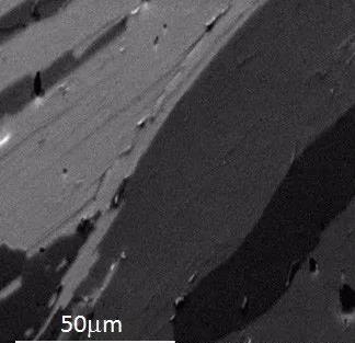 1699337048978916.jpg 360截图20231107135935473.jpg